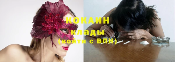 ГАЛЛЮЦИНОГЕННЫЕ ГРИБЫ Орехово-Зуево