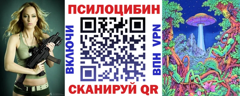 Псилоцибиновые грибы MAGIC MUSHROOMS  где купить наркоту  Северск 